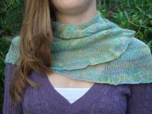 Picture of the Citron Shawlette
